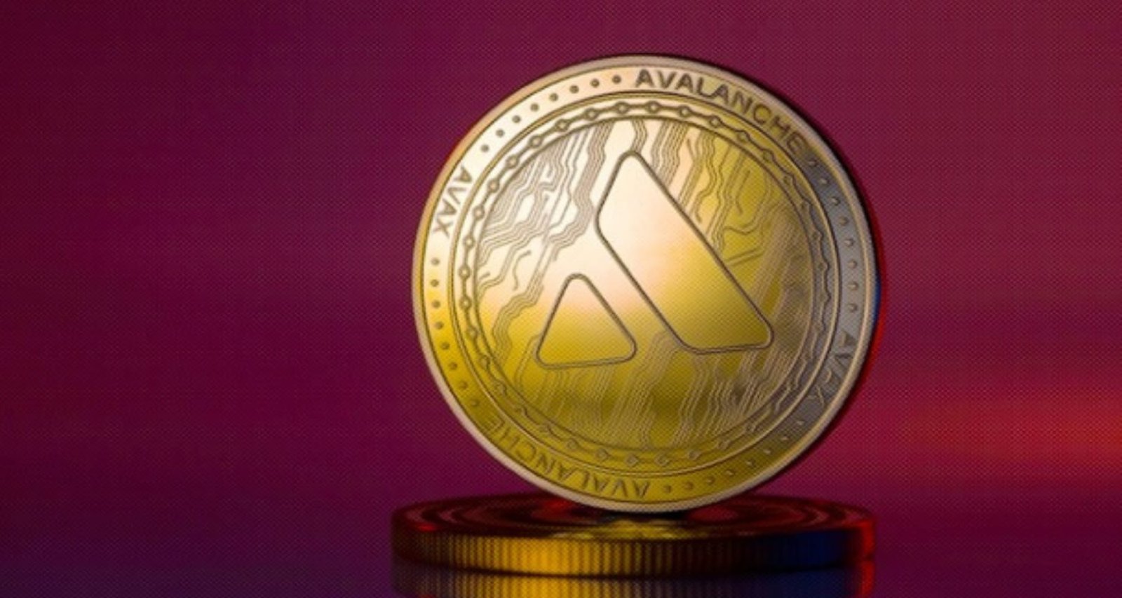 Boom DeeStream Boom DeeStream