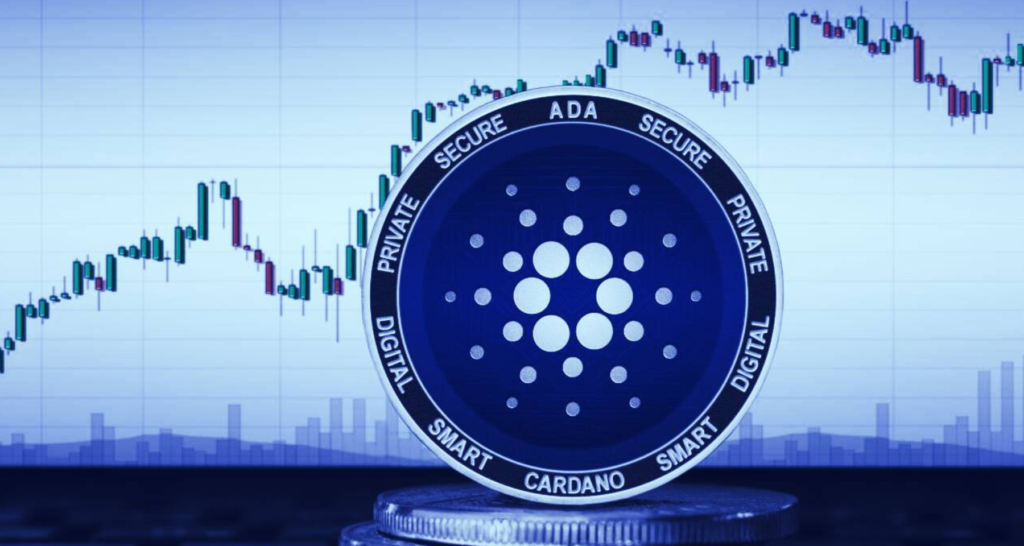 prezzi di Cardano