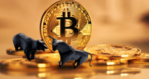 Bitcoin resiste grazie agli hodler